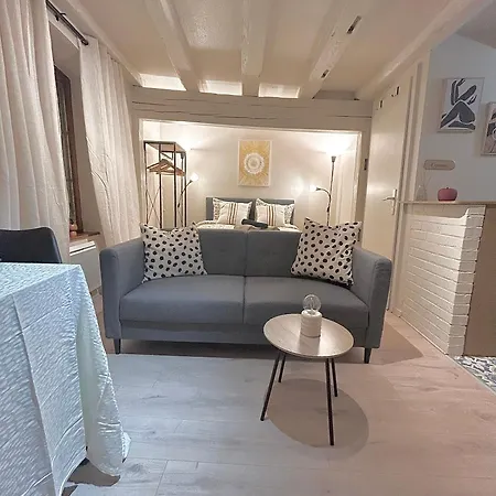 Hyper Center & Petite France - Entire Apartamento Estrasburgo